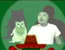サボテンとMUR猫