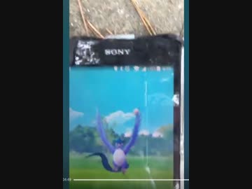 ポケモンGO フリーザーの初ゲットチャンス！ 20170721
