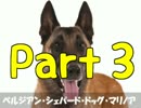 【クロノトリガー】時代を超え仲間を集め世界を救う【実況】Part3