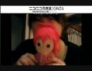 2017夏のケフさんオフ会　倉井純名目線　
