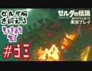 ゼルダ脳を鍛える大人のブレスオブザワイルド実況part.53