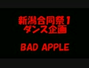【新潟合同祭１】Bad Apple!!おどってみた【ダンス企画】