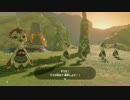 【ゼルダの伝説】ブレスオブザワイルド【マスターモード：126】