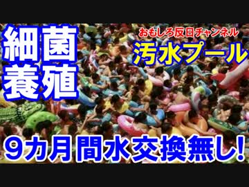 【韓国のプールが汚すぎる】 ９カ月間も水交換無し！手抜きで細菌天国！