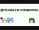 ⑨でも分かる？ゆっくり実況の作り方【ゆっくり解説】part1