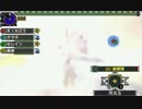 【MHXX】大雪主超特殊を約２分半でハメ狩猟【りんご部隊】