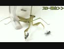 蟻戦争＃152 アリVSカマキリ(後編)～目にもとまらぬ早業！～編
