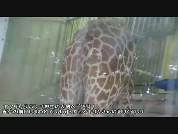 【東武動物公園】カバンナ野生の大地