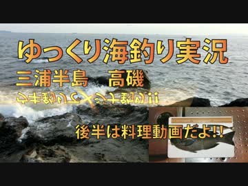 三浦半島　高磯でメジナ釣り