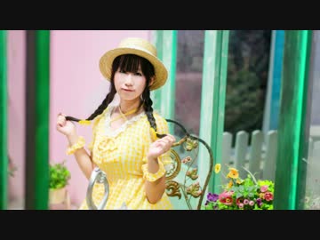 【糖一】honey♥come!!【踊ってみた】【城下町のダンデライオン】