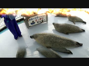 【全天球】北海道10日間ほぼ一周　～5日目 止まない雨はない～【米国製】