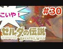 【ゼルダの伝説】のんびり実況プレイ#30【ブレス オブ ザ ワイルド】