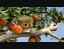 Canimals - 05 -