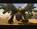 【4人視点】たぬきの狩猟生活 in MH3G Part-67