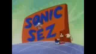 アメリカの星の子ポロン(Compilation Of Sonic Says)