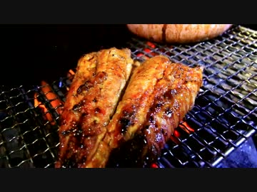 釣ったナマズを食べつくす【蒲焼き&amp;天ぷら】