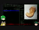 『ゆっくり実況』安定を目指すCataClysm:DDA サバイバル編シーズン2 パート19