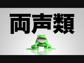 ホモと学ぶ両声類
