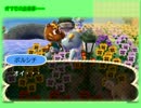 とびだせどうぶつの森でのんびりスローライフ　193日目