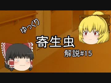 【ゆっくり解説】ゆっくり寄生虫解説#15~フィラリア(皮下寄生)~