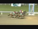 2017年8月2日川崎競馬10R オーガストスター賞 ホウオウレックス