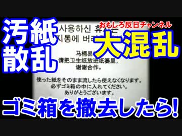 【韓国のトイレは流せよ危険】 ゴミ箱を撤去したら大混乱！