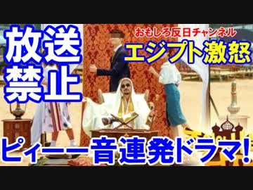 【エジプト人が韓国ドラマの放送禁止運動】 イスラム放送禁止用○連発！