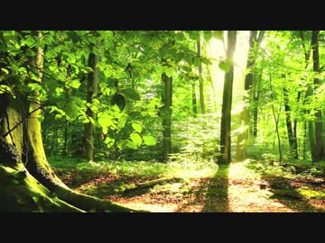 【オリジナル】森の旅人【インスト曲】