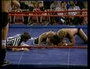 カート・ヘニング&マイク・ロトンド VS Mr.Go&ラリー・ズビスコ 86年4月3日 AWA