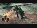 【ダークソウル3】生命力は甘え　素手攻略【双王子】