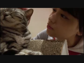 猫にソッポを向かれる女神