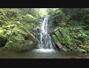 おバイク！【字幕】春日山原始林