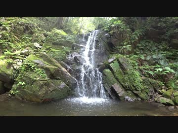 【ゆっくり】春日山原始林