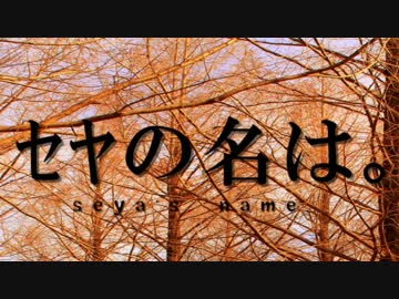 ｾﾔﾅｰ⇔ﾀﾞﾖﾈｰ