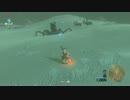 自由すぎるリンクの冒険【プレイ動画その１１８】