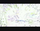 ちょｗちょｗちょｗちょｗ危なーいｗ