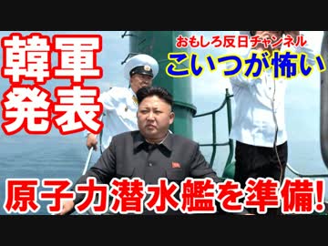 【韓国が原子力潜水艦を準備】 韓国国防部が発表！原潜が必要ニダー！