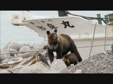 アプリ版フレンズを動物ドキュメンタリーで紹介するよ part15