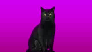 【ニコカラ】リアリティーのダンス【off vocal】