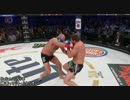 【格闘技】2017年6月度MMAベストノックアウト【KO】