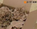 もぎ取れ、キノコ！雪国まいたけ物産館