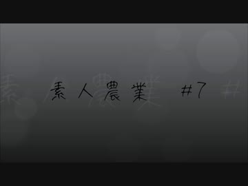 素人農業　＃7