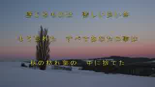 白い冬ふきのとう