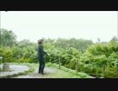 バタフライグラフィティ 踊ってみた