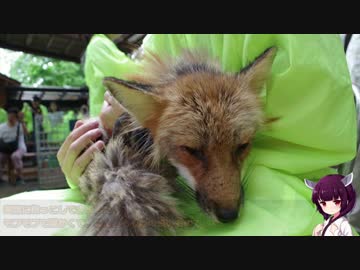 【RC390】東北1泊2日ツーリング 2日目