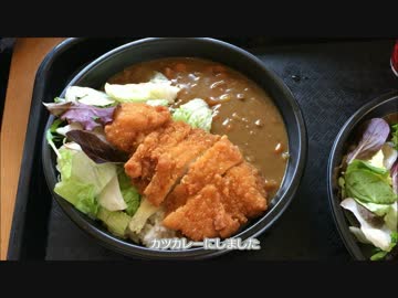 アメリカの食卓 681 ディズニーでカツカレーを食す！
