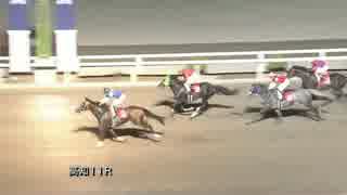 2017年8月5日高知競馬11R 本家・高知のよさこい祭り特別(B-1組)