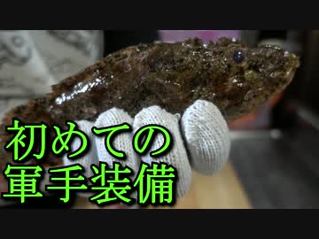 あさひメシ！「オニカサゴ！ブッ刺したら病院送りになる毒魚に挑む！」