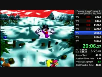 スーパードンキーコング3any%RTA 46:54 (実機)