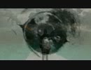 デジモンアドベンチャーOP「butter-fly」オルゴールアレンジ